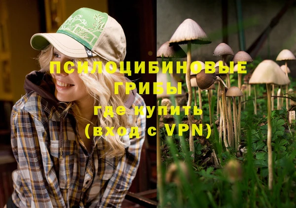 mdpv Богданович